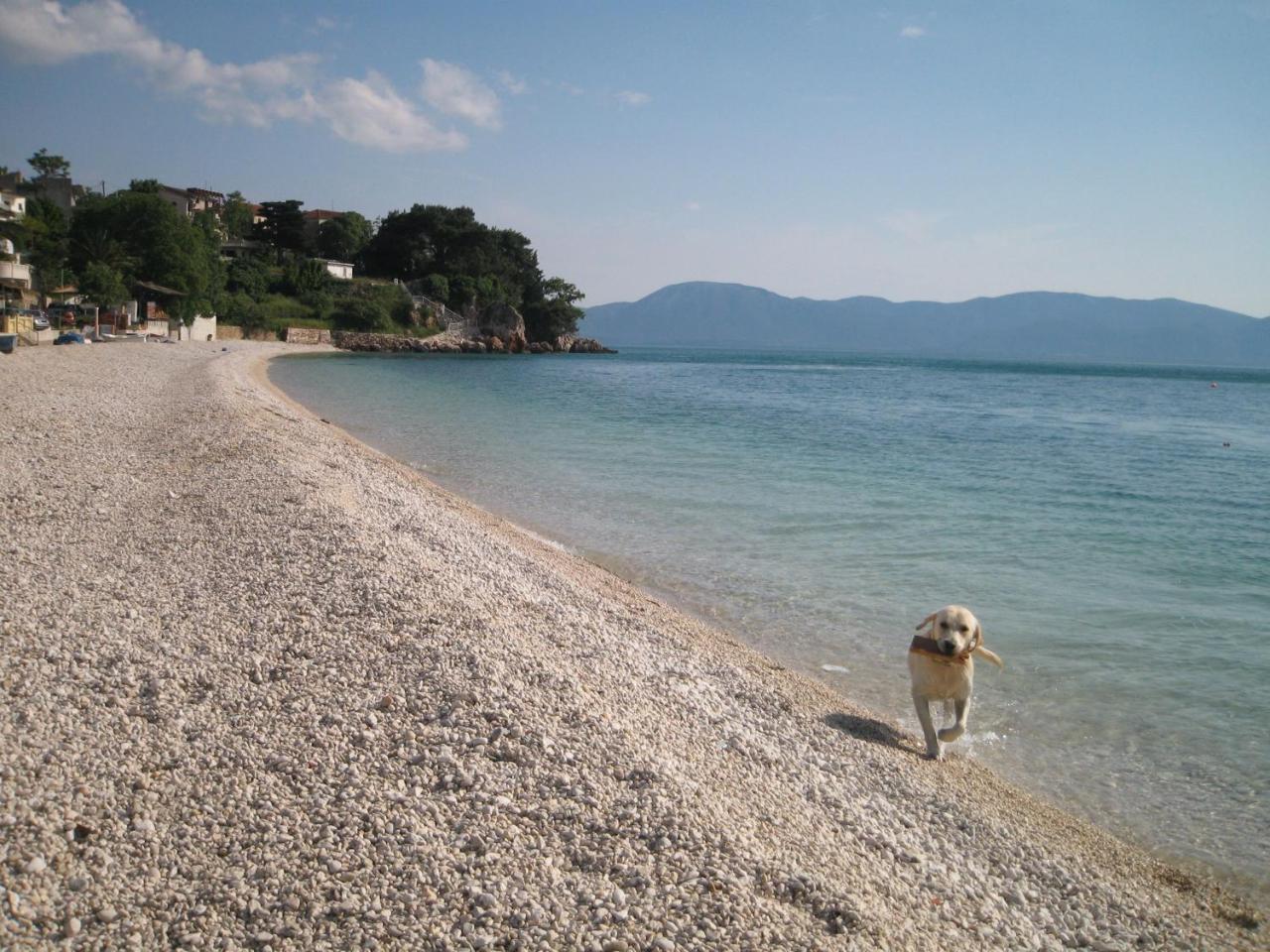 Stara Kuca Estate Vila Ljubuški Exterior foto